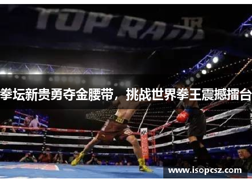 拳坛新贵勇夺金腰带，挑战世界拳王震撼擂台