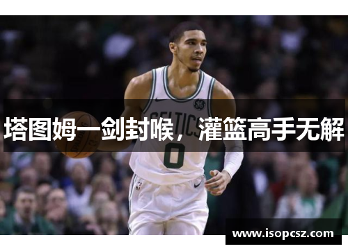 塔图姆一剑封喉，灌篮高手无解